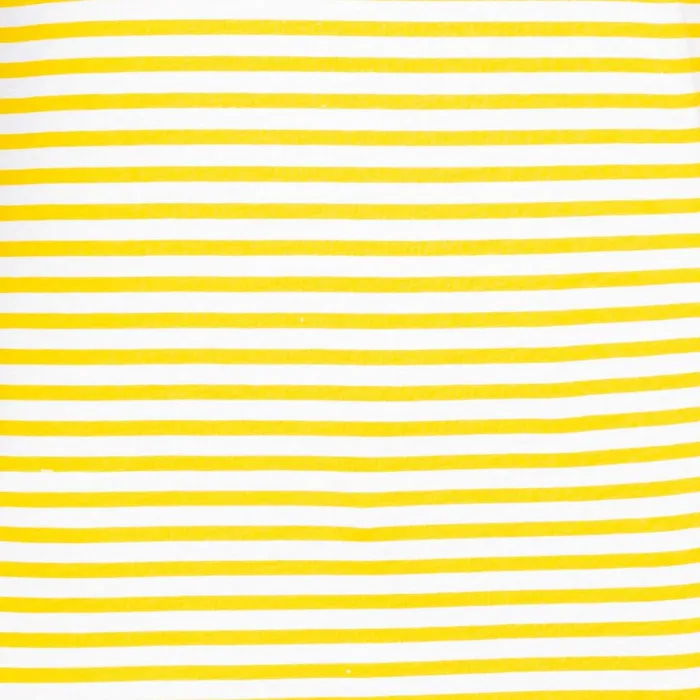 Ani Printed TShirt Sunshine Stripe Women Trespass TShirts