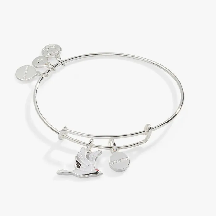 Bracelets Women Alex And Ani Blessed039 Crane Duo Charm Bangle Bracelet Silver