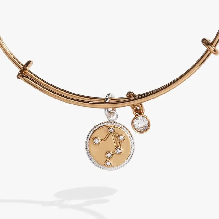 Bracelets Women Alex And Ani Libra Zodiac Charm Bangle Two Tone