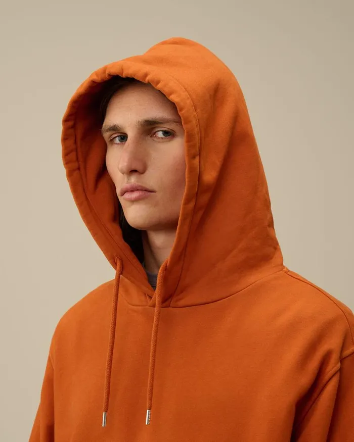 CP Company Sweatshirts Brushed And Emerized Diagonal Fleece Lens Hooded Sweatshirt Bombay Brown 8211 Man