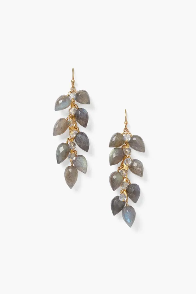 Chan Luu Earrings Women Delphine Drop Earrings Labradorite