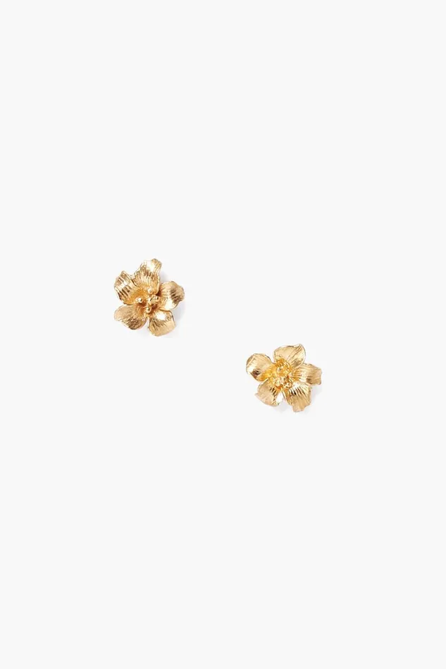 Chan Luu Earrings Women Gold Hibiscus Stud Earrings