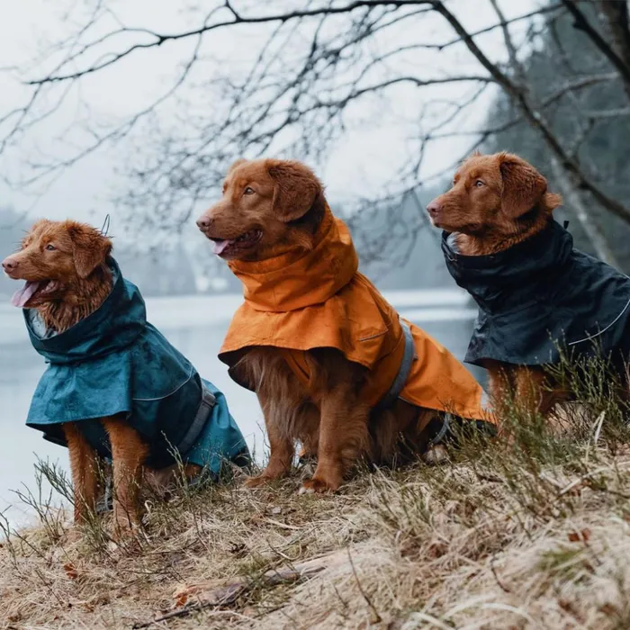 Dog Jackets Dogs Orvis Hurtta Monsoon Dog Coat Bilberry