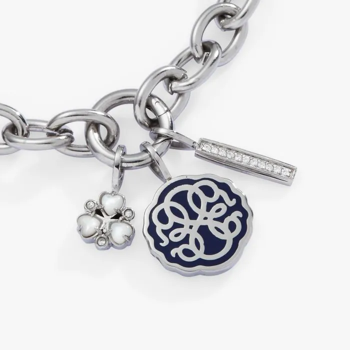 Fine Jewelry Women Alex And Ani Path Of Life Trio Interchangeable Charm Bracelet Stainless Steel Silver