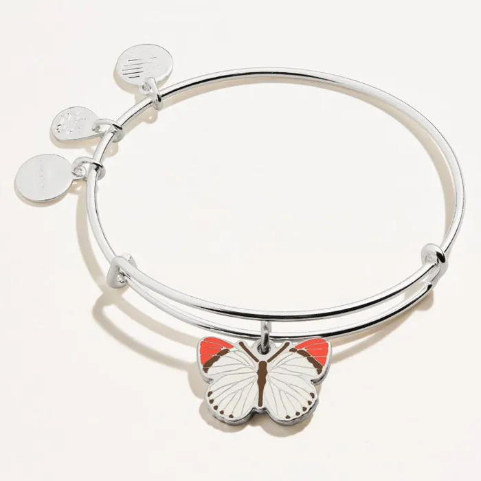 Iconic Women Alex And Ani Colotis Danae Butterfly Charm Bangle Shiny Silver