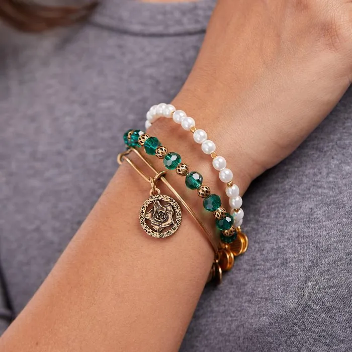 Jewelry Sets Women Alex And Ani Rose Charm Bangle Set Of 3 Rafaelian Silver