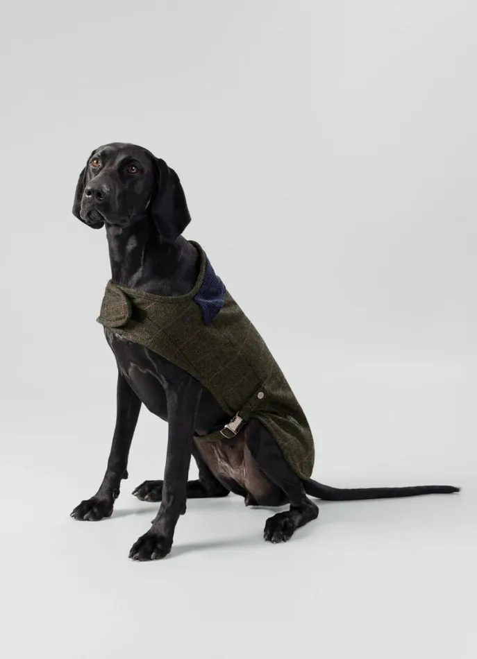 Men Hackett X Hugo and Hudson Hackett London Checked Jacket For Dogs 8211 Large Green Men Hackett X Hugo and Hudson Hackett London Checked Jacket For Dogs 8211 Large Green