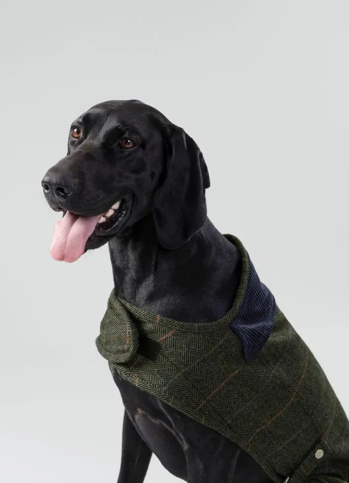 Men Hackett X Hugo and Hudson Hackett London Checked Jacket For Dogs 8211 Large Green