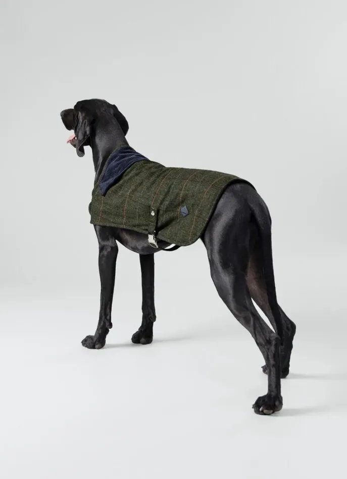 Men Hackett X Hugo and Hudson Hackett London Checked Jacket For Dogs 8211 Large Green