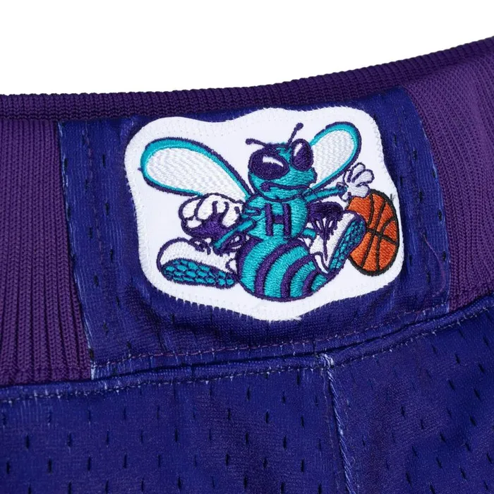 Mitchell and Ness Authentic Charlotte Hornets Alternate 199495 Shorts Men Shorts