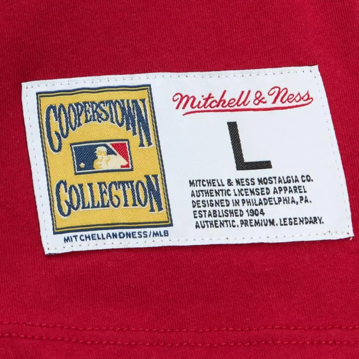 Mitchell and Ness Color Blocked SS Tee Cincinnati Reds Men TShirts and Tops Mitchell and Ness Color Blocked SS Tee Cincinnati Reds Men TShirts and Tops