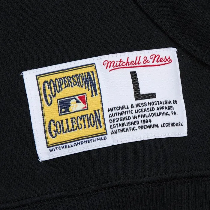 Mitchell and Ness Game Time Fleece Hoodie Vintage Logo Tampa Bay Rays Men Hoodies and Sweatshirts Mitchell and Ness Game Time Fleece Hoodie Vintage Logo Tampa Bay Rays Men Hoodies and Sweatshirts
