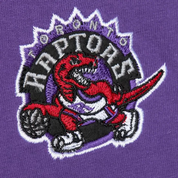 Mitchell and Ness Heavyweight Premium Player Tee Vintage Logo Toronto Raptors Vince Carter Men TShirts and Tops Mitchell and Ness Heavyweight Premium Player Tee Vintage Logo Toronto Raptors Vince Carter Men TShirts and Tops