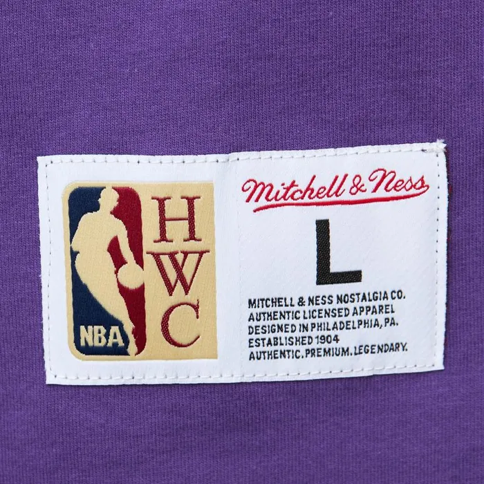 Mitchell and Ness Heavyweight Premium Player Tee Vintage Logo Toronto Raptors Vince Carter Men TShirts and Tops Mitchell and Ness Heavyweight Premium Player Tee Vintage Logo Toronto Raptors Vince Carter Men TShirts and Tops