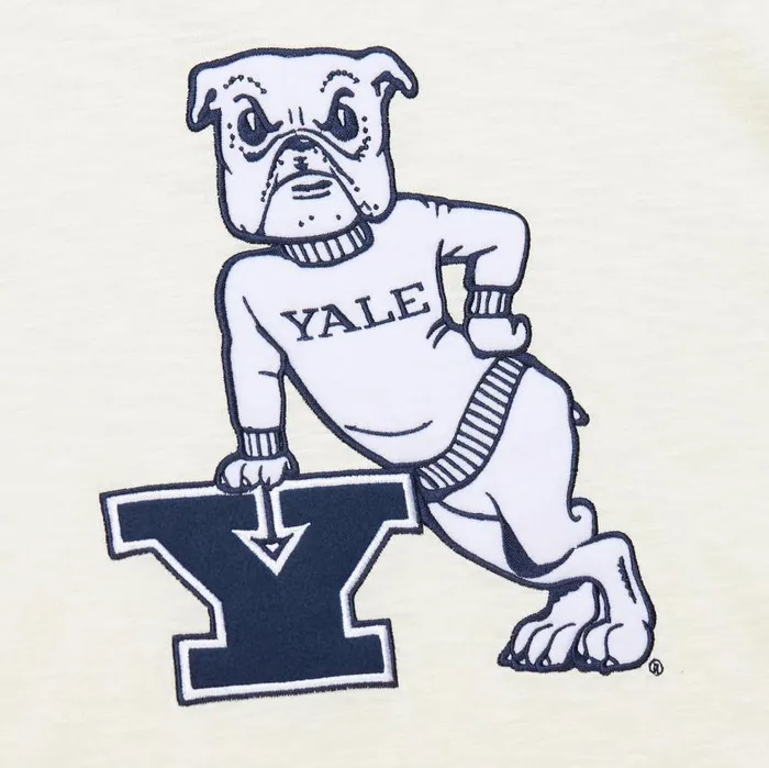Mitchell and Ness Heritage LS Slub Tee Vintage Logo Yale University Men TShirts and Tops