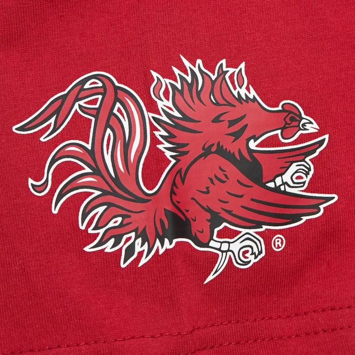 Mitchell and Ness Jaquard Ringer SS Tee Current Logo University Of South Carolina Men TShirts and Tops