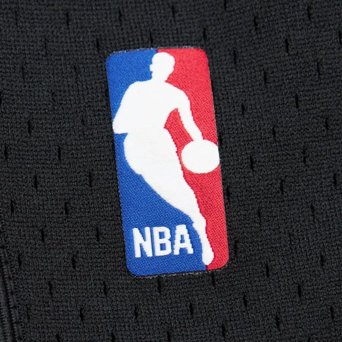 Mitchell and Ness Swingman Brooklyn Nets Christmas Day 2012 Shorts Men Shorts