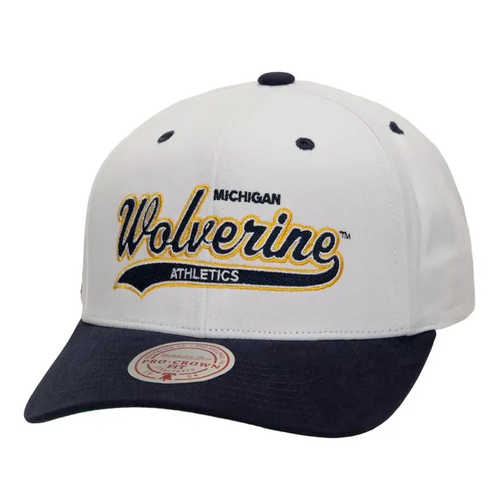 Mitchell and Ness Tail Sweep Pro Snapback V University Of Michigan Men Hats and Headwear Mitchell and Ness Tail Sweep Pro Snapback V University Of Michigan Men Hats and Headwear