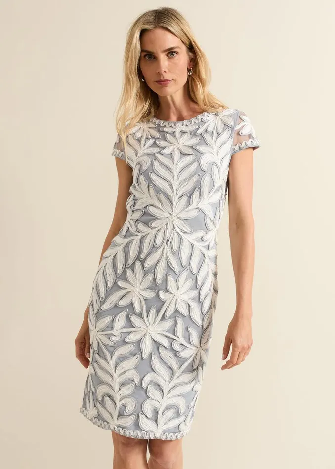 Phase Eight Dresses Isobel Tapework Lace Fitted Dress Mineral Ivory 8211 Women