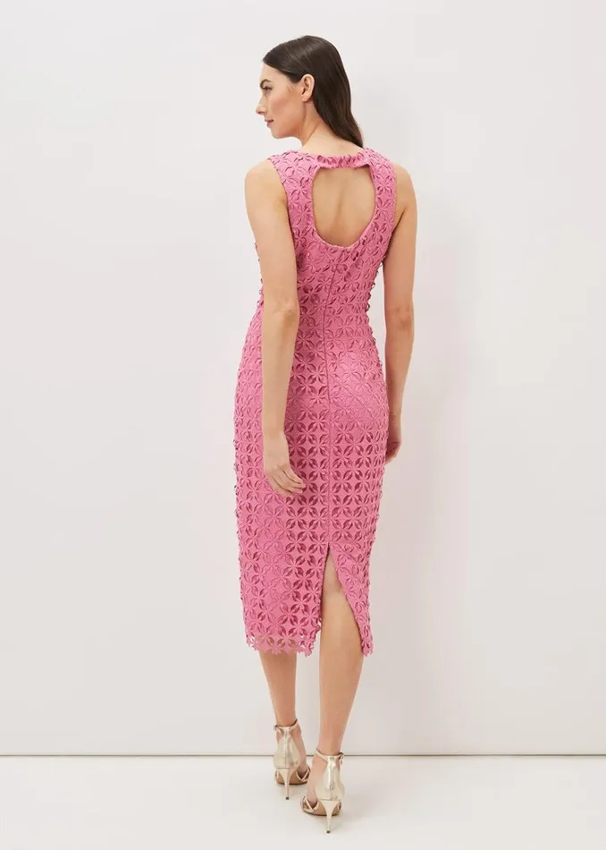 Phase Eight Dresses Novah Lace Midi Dress Candy Pink 8211 Women