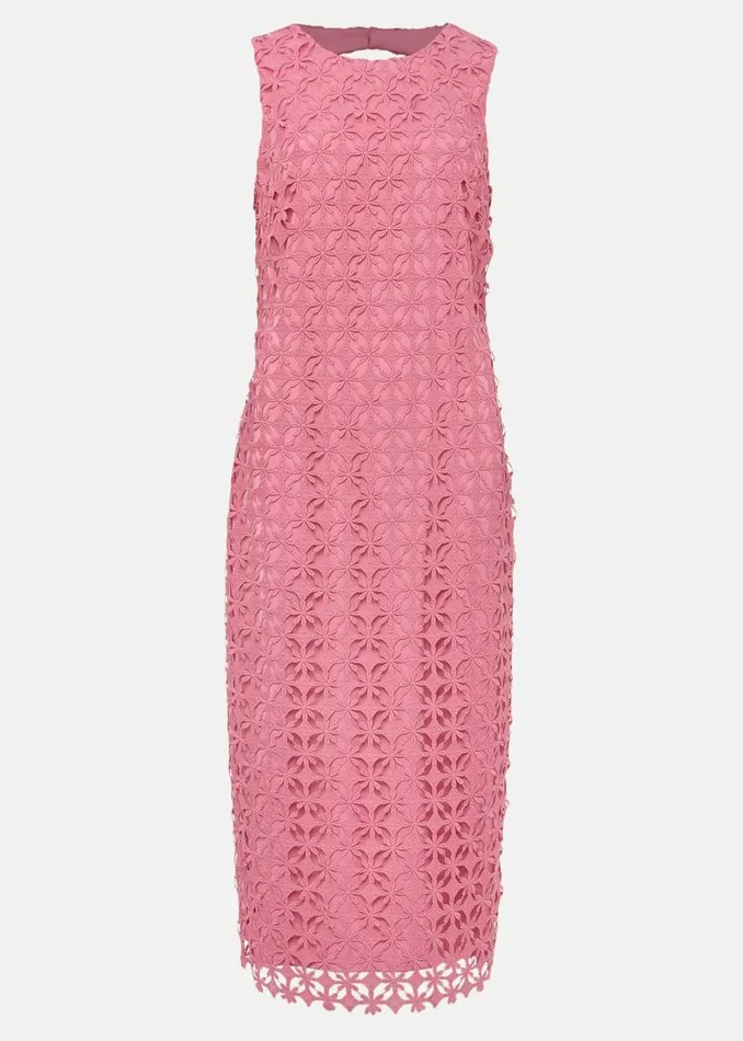 Phase Eight Dresses Novah Lace Midi Dress Candy Pink 8211 Women