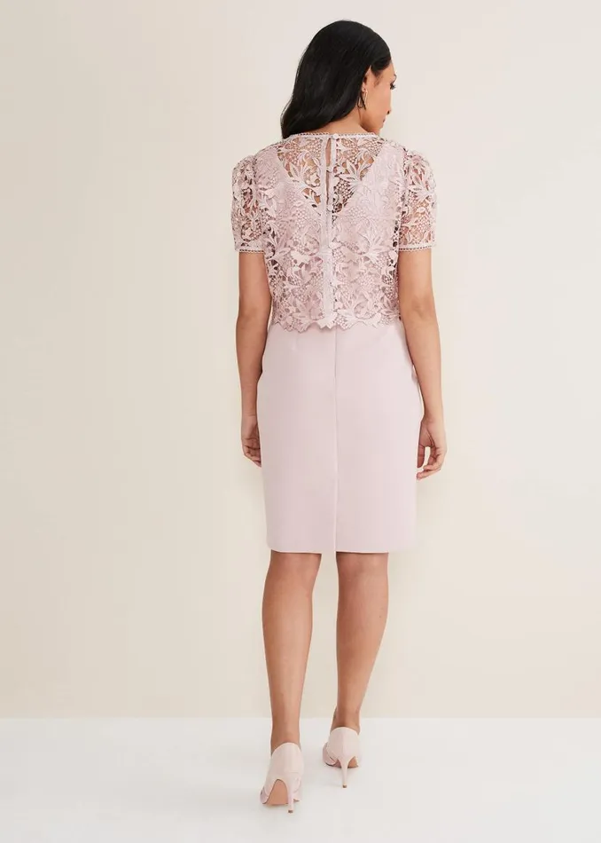 Phase Eight Dresses Petite Isabella Lace Midi Dress Antique Rose 8211 Women