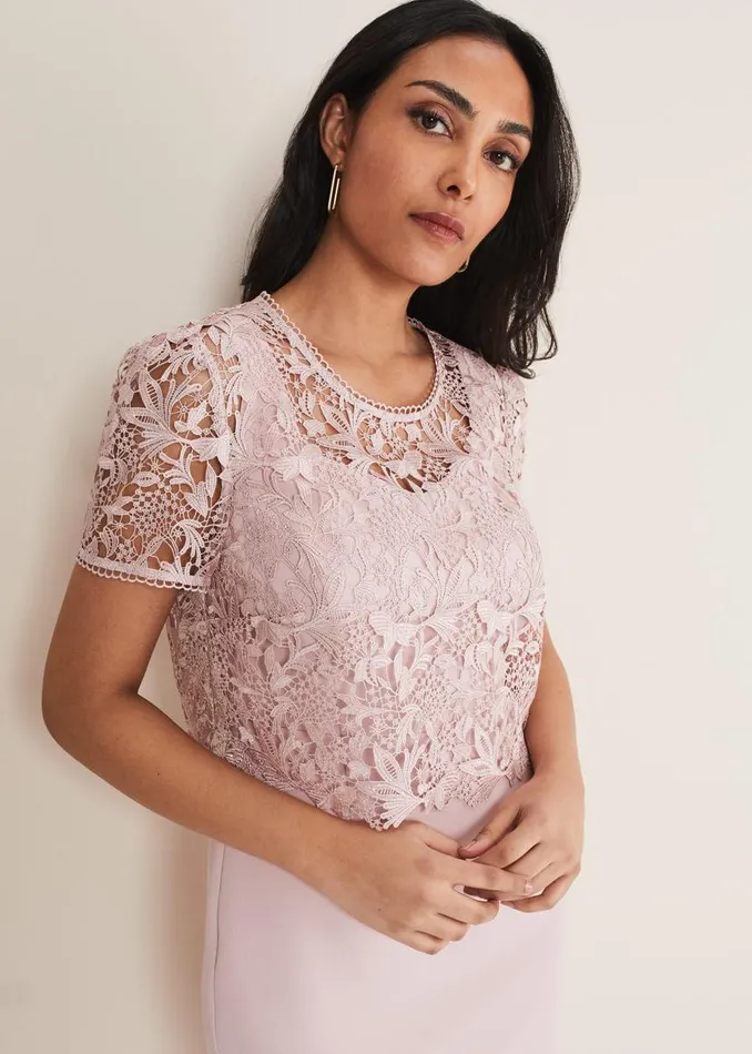 Phase Eight Dresses Petite Isabella Lace Midi Dress Antique Rose 8211 Women