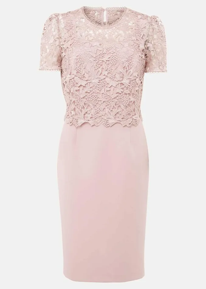 Phase Eight Dresses Petite Isabella Lace Midi Dress Antique Rose 8211 Women
