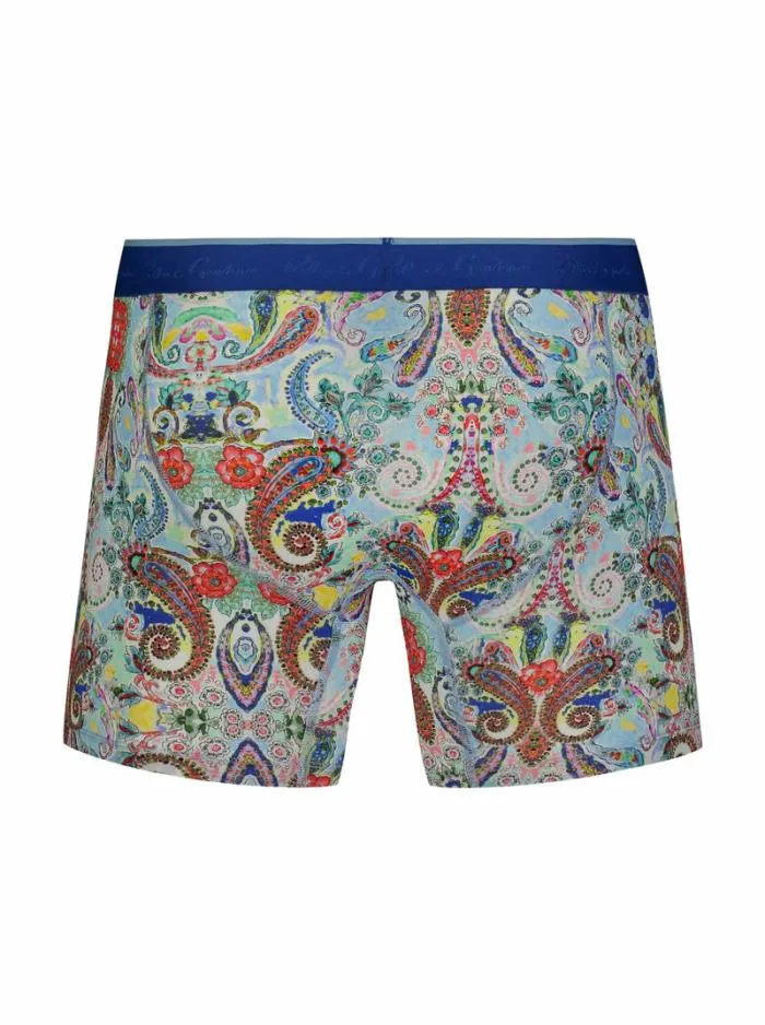 Robert Graham Pajamas and Underwear Men Colorful Paisley Single Boxer Brief Multi