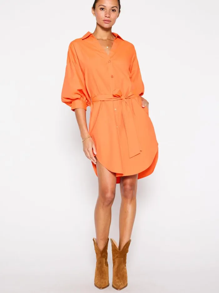 Shop Brochu Walker Dresses The Kate Belted Dress Tangerine