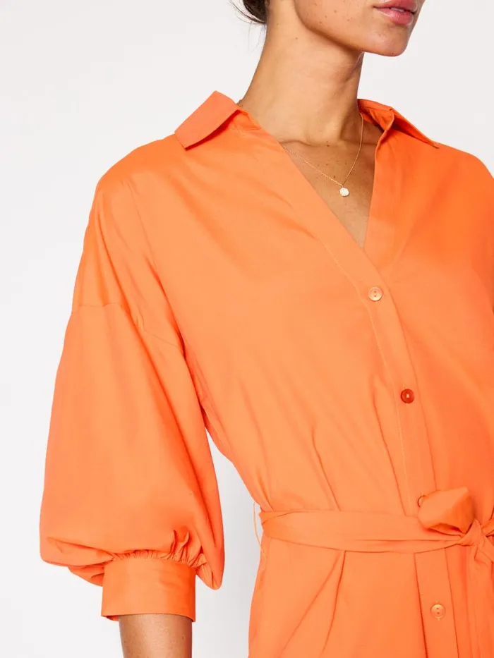 Shop Brochu Walker Dresses The Kate Belted Dress Tangerine