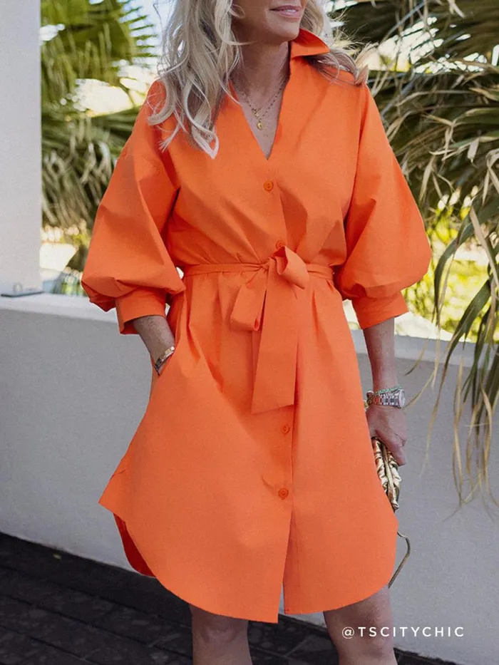 Shop Brochu Walker Dresses The Kate Belted Dress Tangerine