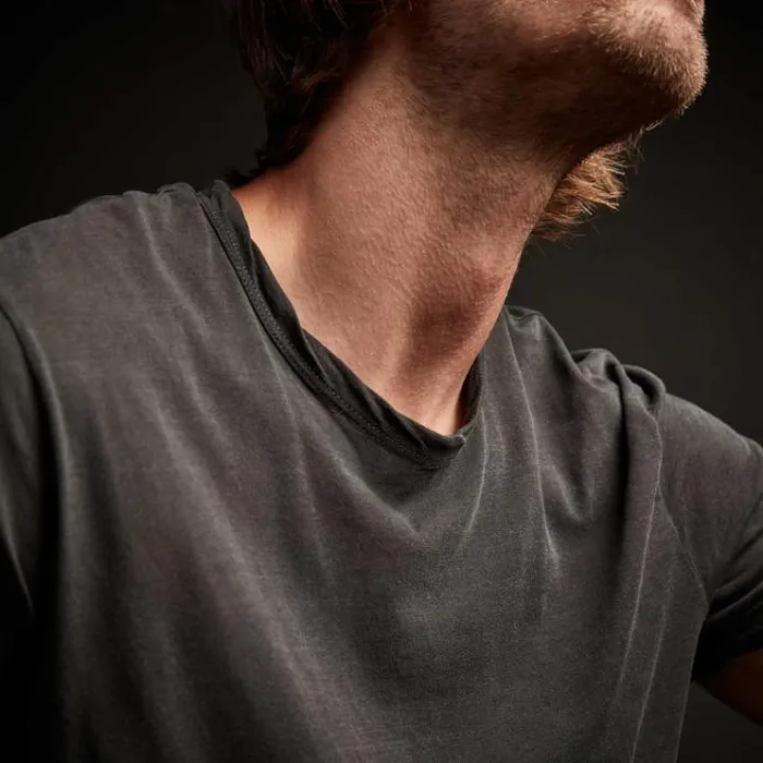 TShirts Men James Perse Clear Jersey Crew Carbon Pigment