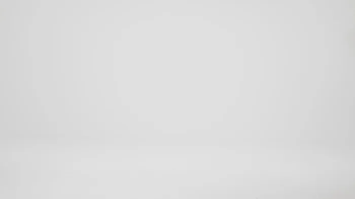 Women Brahmin Satchels Adrian Pecan Melbourne Women Brahmin Satchels Adrian Pecan Melbourne