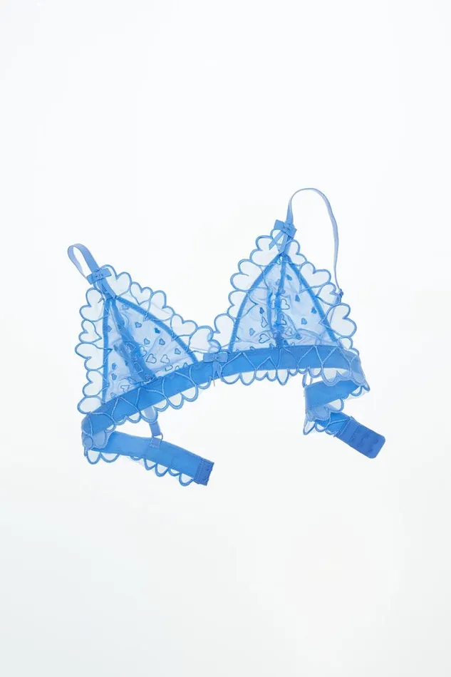 Women Bras Cotton On Sasha Embroidered Mesh Triangle Bralette Dream Cloud