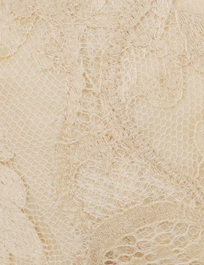 Women Tops Zimmermann Illustration Lace Bralette Cream